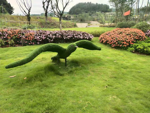 【人氣景觀植物雕塑,廠家定制綠雕造型,批發(fā)價(jià)出售綠雕造型】- 