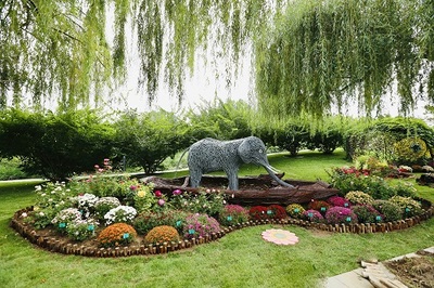 2021年北京秋季新優(yōu)花卉品種展示推介會(huì)開幕